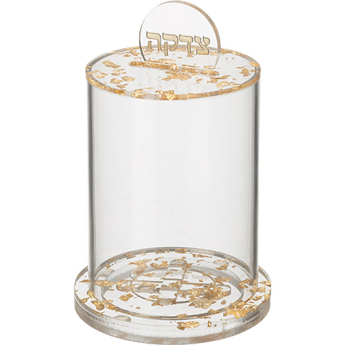 Lucite Tzedakah Box 16*10 cm- Gold