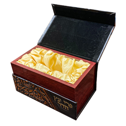 Faux Leather Etrog Box with Handle 12*20*11 cm