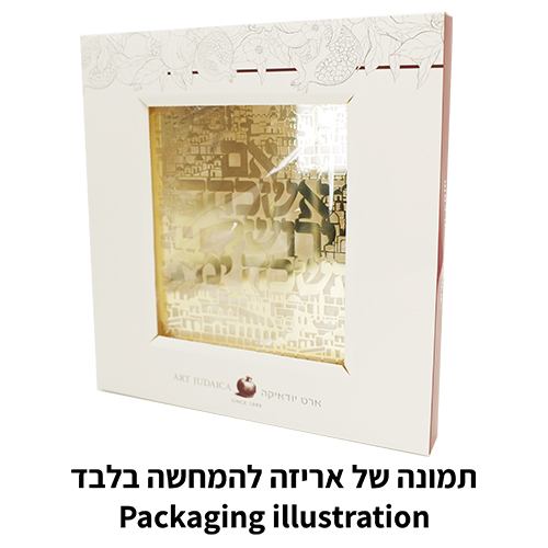מסגרת אקריליק מהודרת עם פלקטה 19×25 ס״מ