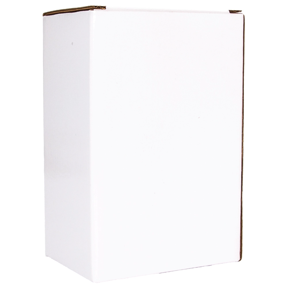 Lucite Tzedakah Box 16*10 cm- Gold