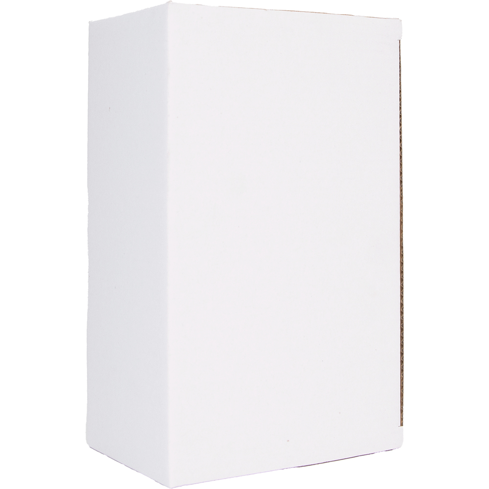 Lucite Tzedakah Box 14 cm - Silver