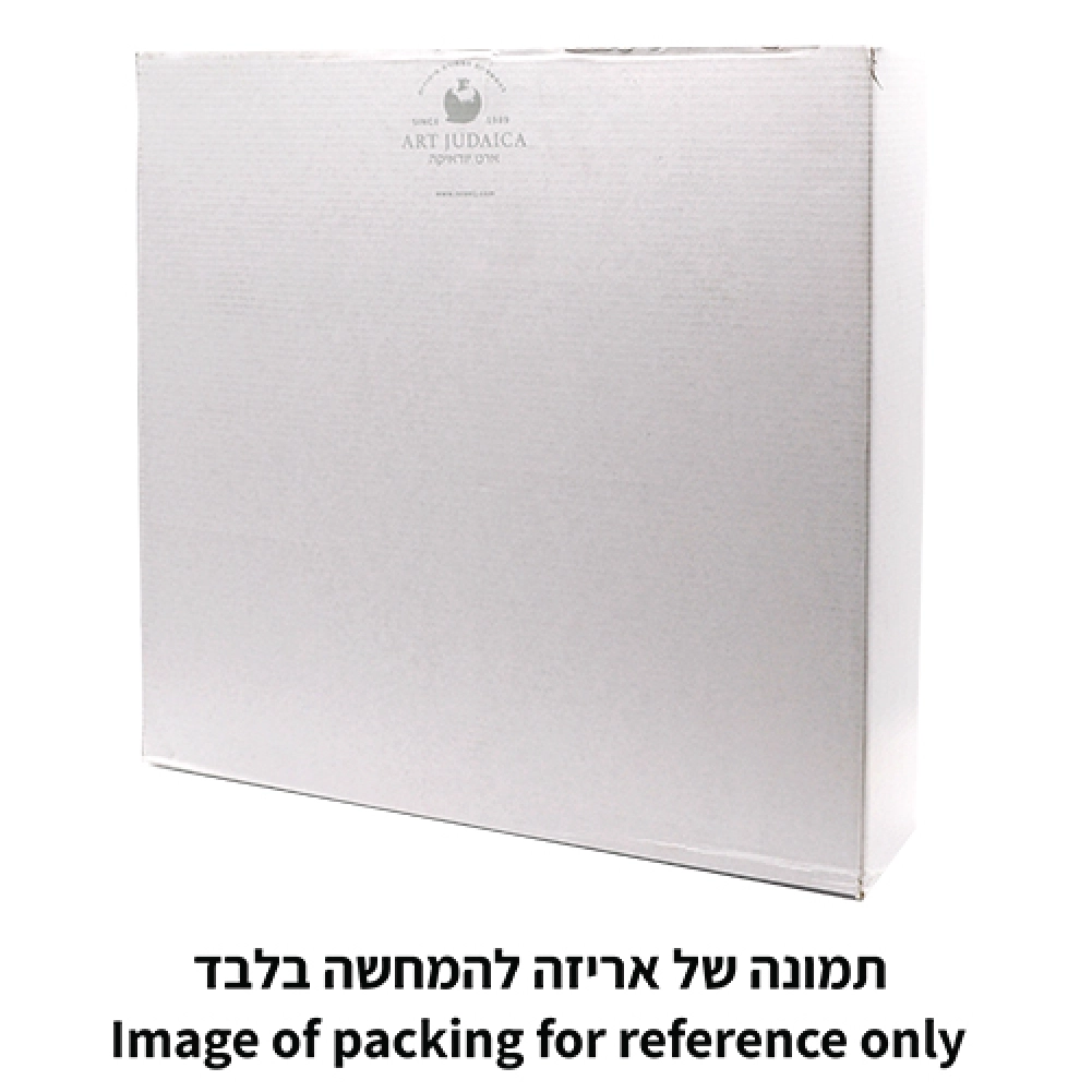 Elegant Glass Passover Plate 40 cm