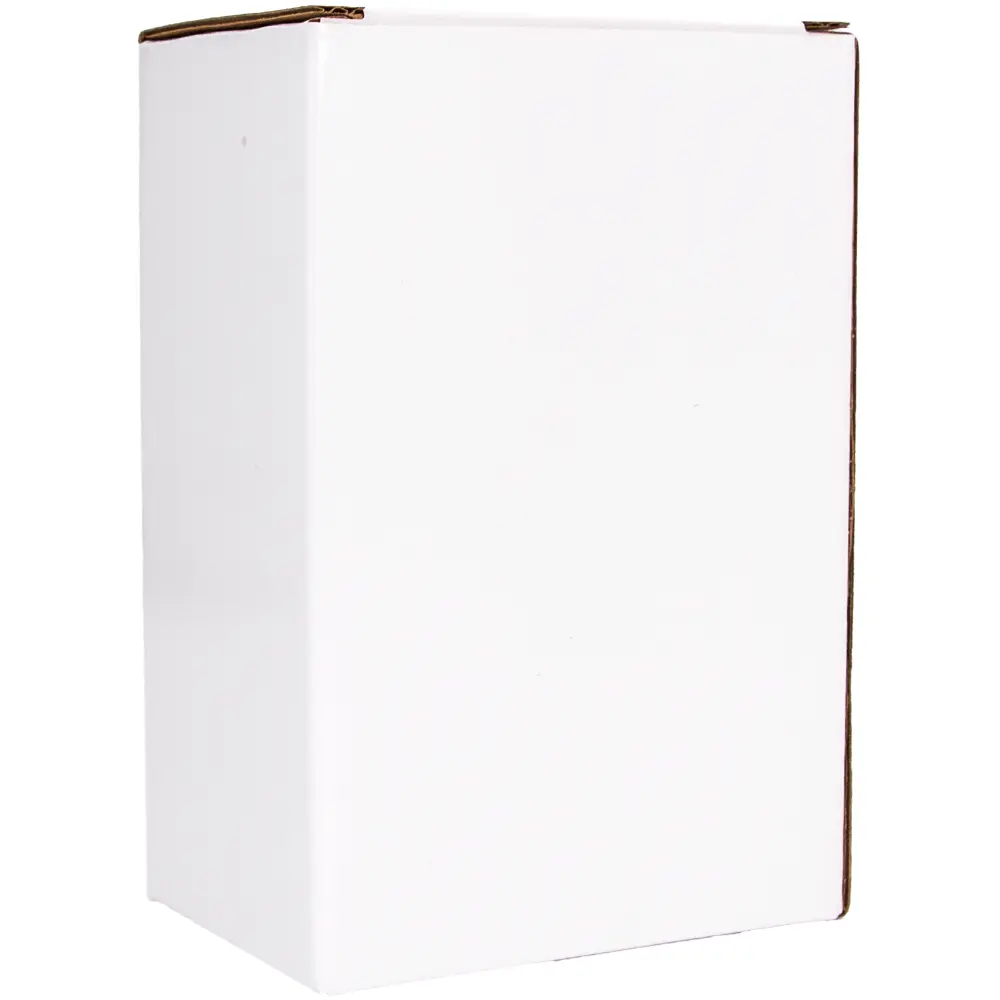 Lucite Tzedakah Box 16 cm - Silver